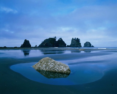 Point of Arches, Olympic National Park, Washington (MF).jpg